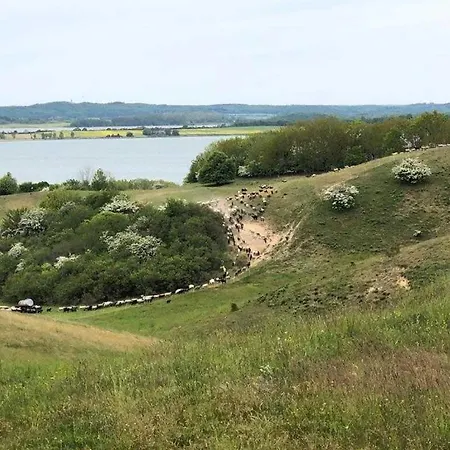 4 - Sterne Am Brink Mit Gartenter Und Meerblick * Gager