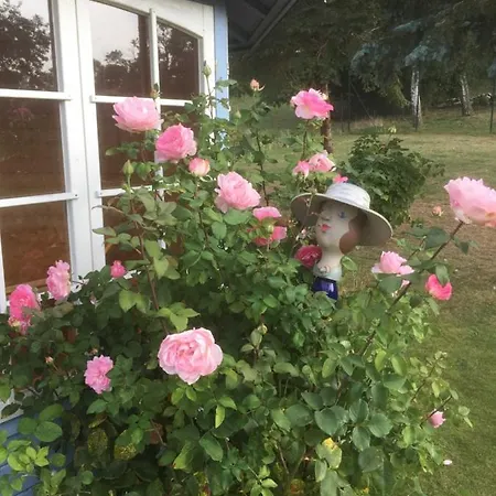 4 - Sterne Am Brink Mit Gartenter Und Meerblick * Gager