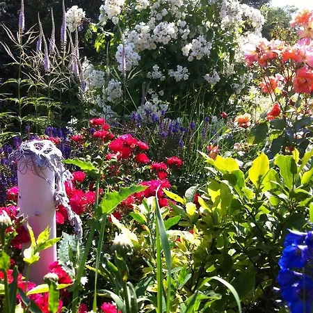 4 - Sterne Am Brink Mit Gartenter Und Meerblick *