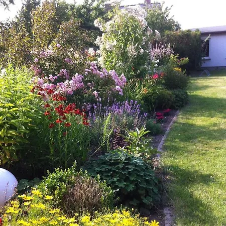 4 - Sterne Am Brink Mit Gartenter Und Meerblick * Gager