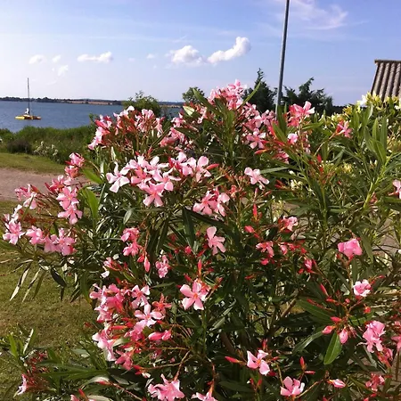 4 - Sterne Am Brink Mit Gartenter Und Meerblick Apartment