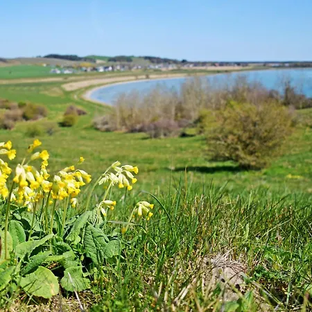 4 - Sterne Am Brink Mit Gartenter Und Meerblick *