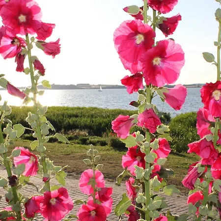 4 - Sterne Am Brink Apartment