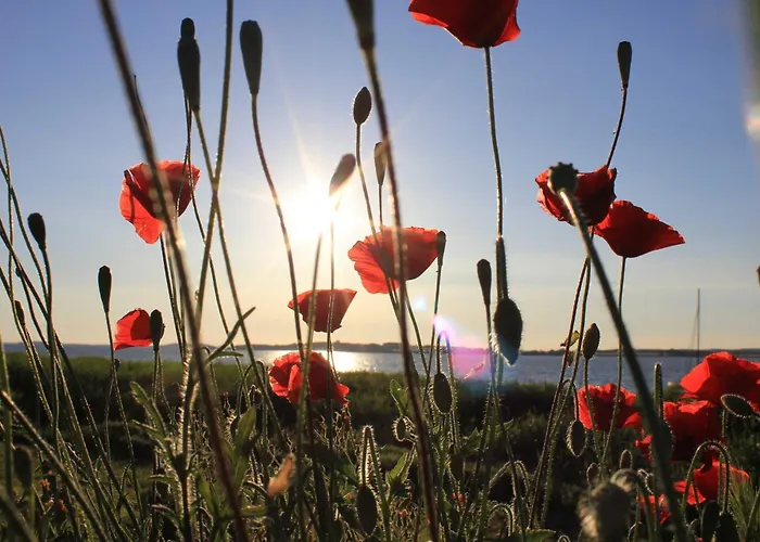 Διαμέρισμα 4 - Sterne Am Brink Mit Gartenter Und Meerblick